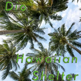 Hawaiian Shelter by Dio