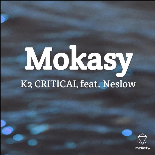 Mokasy