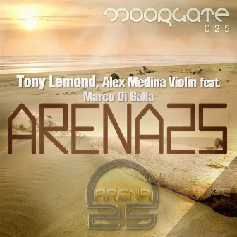 Arena 25 by Alex Medina Violin