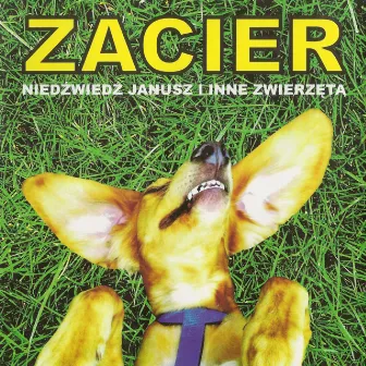 Niedźwiedź Janusz i inne zwierzęta by Zacier