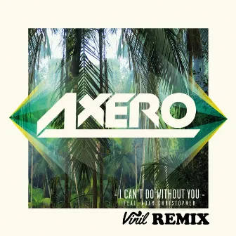 I Can't Do Without You (feat. Adam Christopher) [Vinil Remix] by Vinil