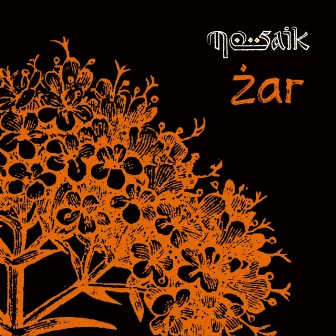 Żar by Mosaik