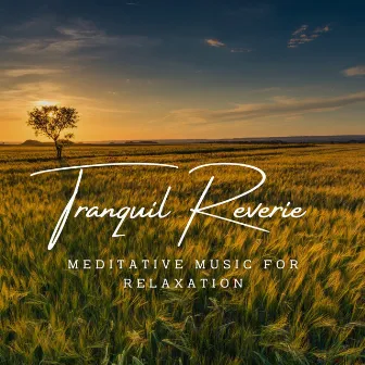 Tranquil Reverie: Meditative Music for Relaxation by Have a Cigar