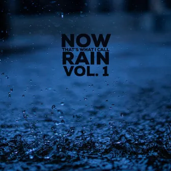 Volume 1 by Now That’s What I Call Rain