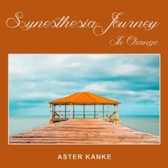 Synesthesia Journey In Orange by Emily Ann Imes