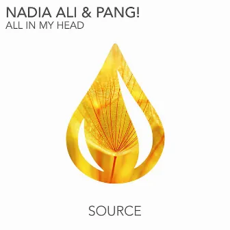 All In My Head (Radio Edit) by Nadia Ali