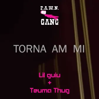 Torna Am Mi by Lil Guiu