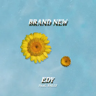 Brand New by EDY