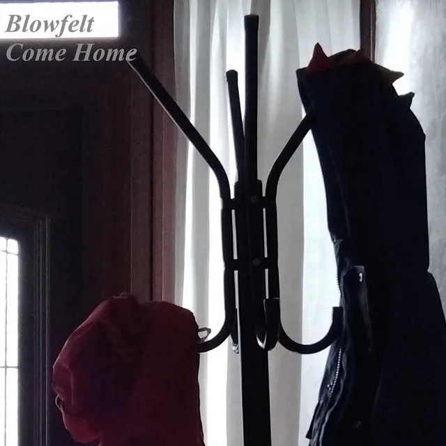 Blowfelt