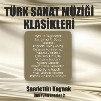 Sadettin Kaynak Ölmeyen Eserler, Vol. 2 by Adnan Yavuzer