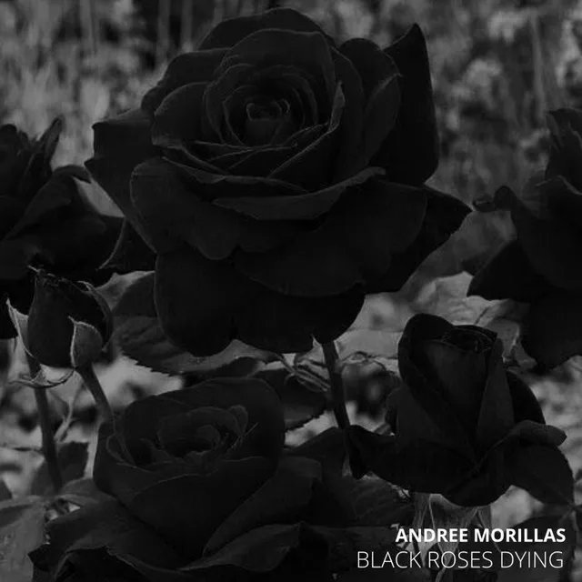 Black Roses Dying