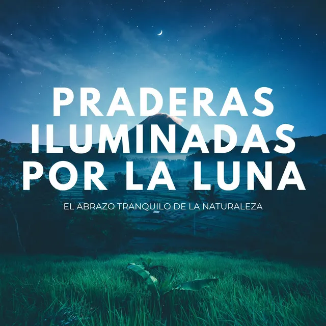 Praderas Iluminadas Por La Luna: El Abrazo Tranquilo De La Naturaleza