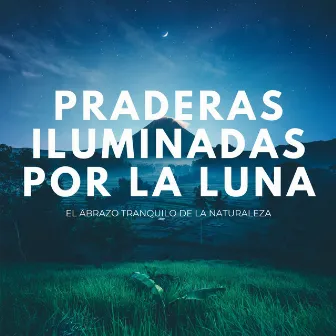 Praderas Iluminadas Por La Luna: El Abrazo Tranquilo De La Naturaleza by Música del domingo por la noche