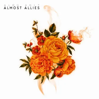 Almost Allies by Alon Amit