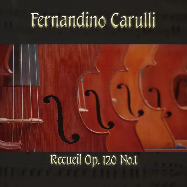 Fernandino Carulli: Recueil, Op. 120, No.1