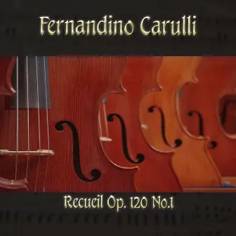 Fernandino Carulli: Recueil, Op. 120, No.1 by Fernandino Carulli