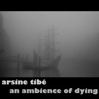 An Ambience of Dying by Arsine Tibé