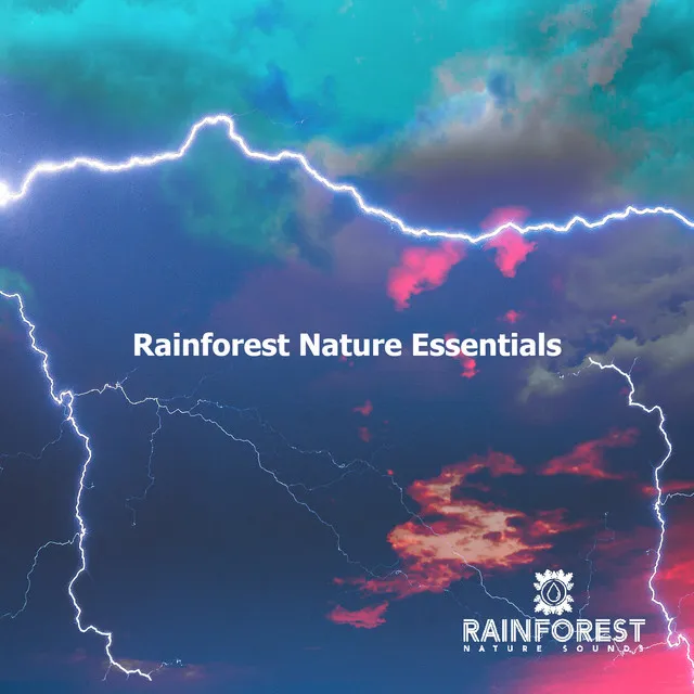 Rainforest Nature Essentials