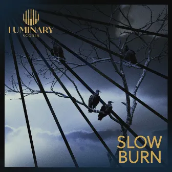 Slow Burn by Edward L. Rogers