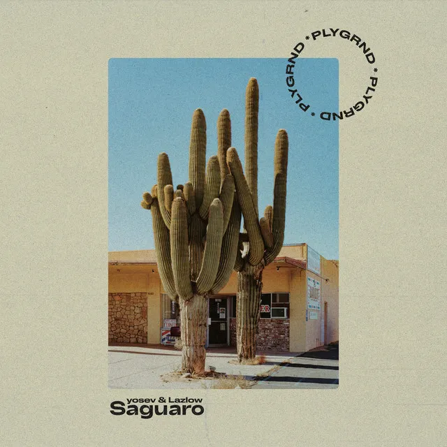 Saguaro