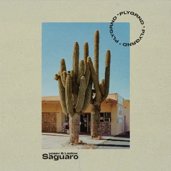 Saguaro by yosev