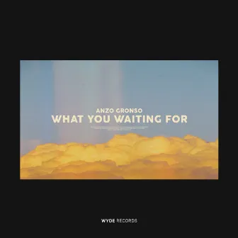 What You Waiting For by Anzo Gronso