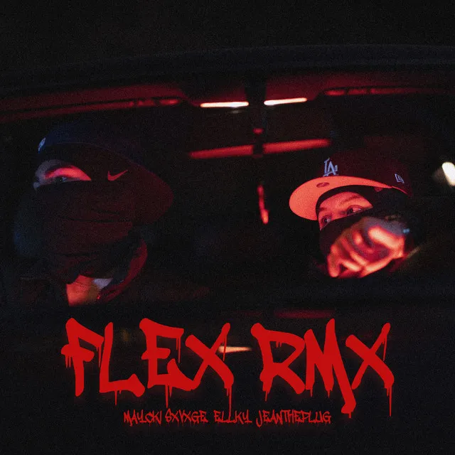 Flex - RMX