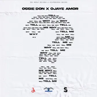 Tell Me Why by Ojaye Amor