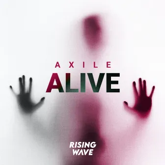 Alive by Dare County