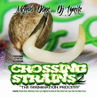 Crossing Strains 2: The Germination Process by Dj Ignite