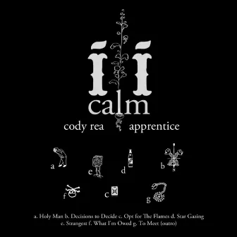 Calm, Vol. 2 by Apprentice