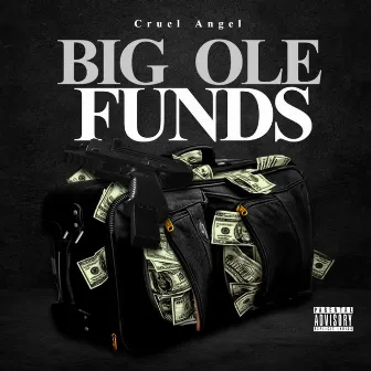 Big Ole Funds by Cruel Angel