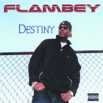 Destiny by FlamBey