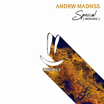 Special (Remixes) by ANDRW MADNSS