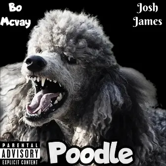 Poodle by Bo McVay