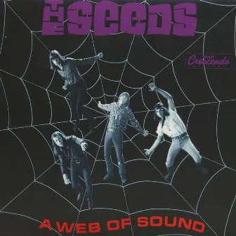 A Web of Sound (Deluxe Reissue) by The Seeds