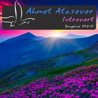 Introvert by Ahmet Atasever