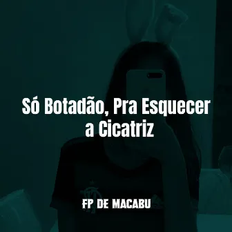 Só Botadão, pra Esquecer a Cicatriz by TROPA DA 021