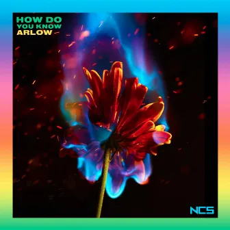 How Do You Know by Arlow