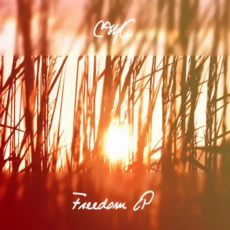 Freedom - EP by CMA