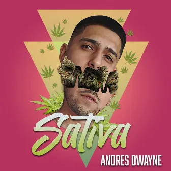 Sativa by Andres Dwayne