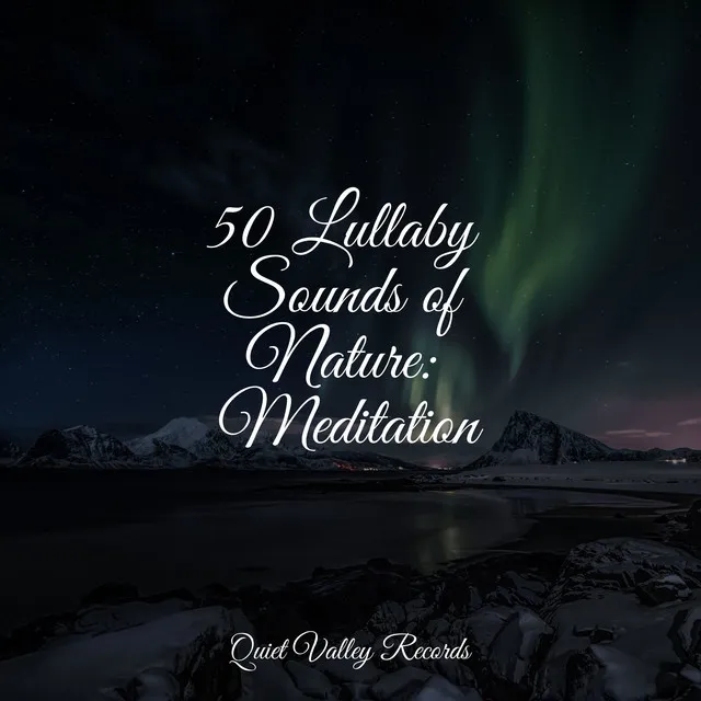 50 Lullaby Sounds of Nature: Meditation