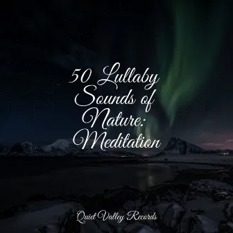 50 Lullaby Sounds of Nature: Meditation by Academia de Musica para Massagem Relaxamento