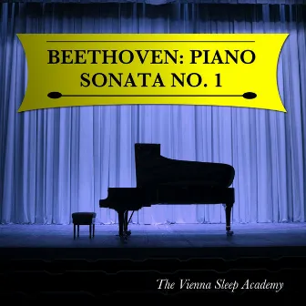 Beethoven: Piano Sonata No. 1 by The Vienna Sleep Academy