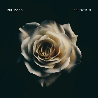 Bulldogg Essentials by Bulldogg