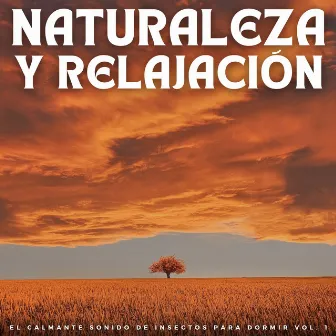 Naturaleza Y Relajación: El Calmante Sonido De Insectos Para Dormir Vol. 1 by Ayuda para dormir