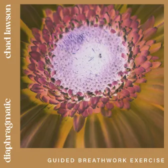 diaphragmatic (guided breathwork exercise) by Chad Lawson