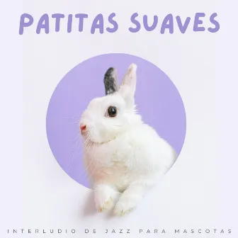 Patitas Suaves: Interludio De Jazz Para Mascotas by Jazz de día lluvioso