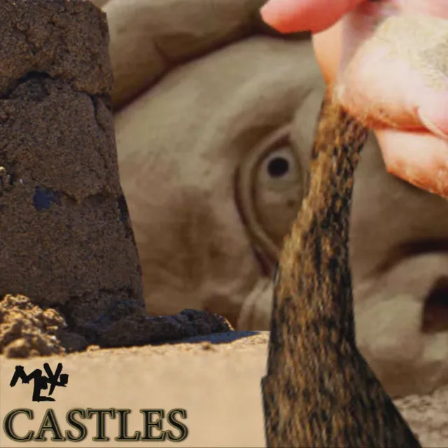 Castles