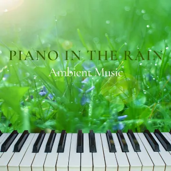 Piano in the Rain, Ambient Music by SPA & Piano